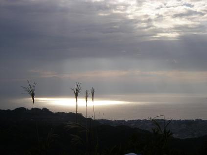 f0202990_20563314.jpg