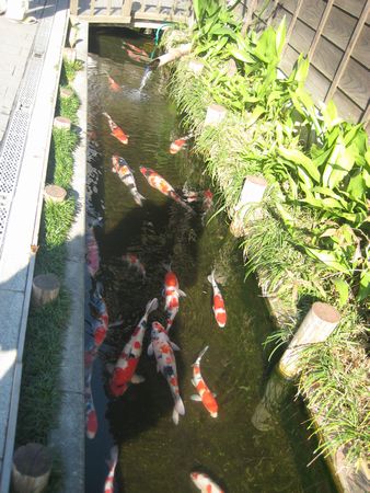 f0201297_1110502.jpg