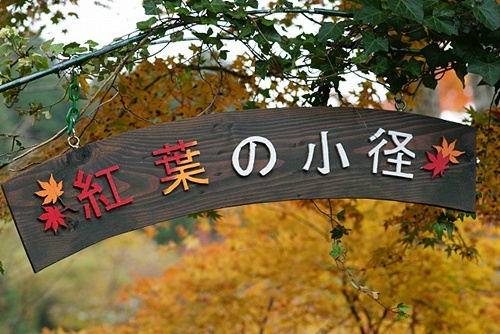 b0145398_236409.jpg