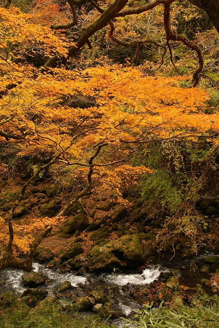 b0145398_2375141.jpg