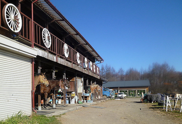 c0138198_818293.jpg