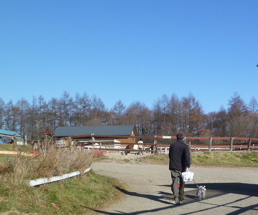 c0138198_89404.jpg