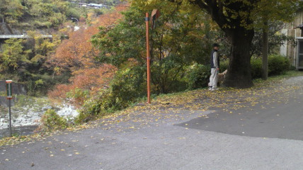 b0206300_1355595.jpg