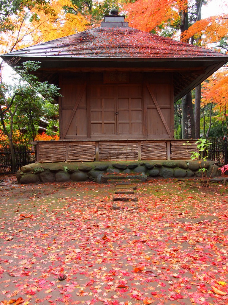f0224100_2234148.jpg