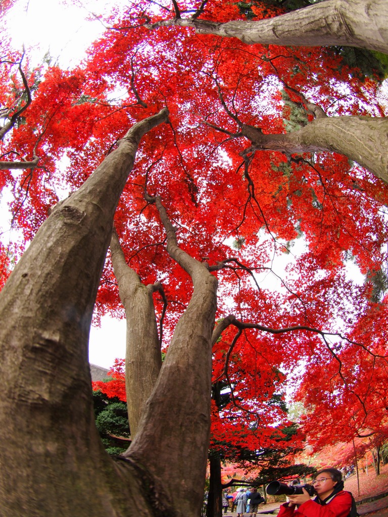 f0224100_22491285.jpg