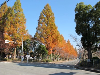 c0036203_1840497.jpg