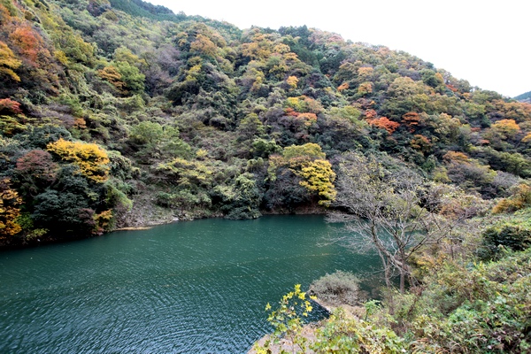 c0043403_232345.jpg