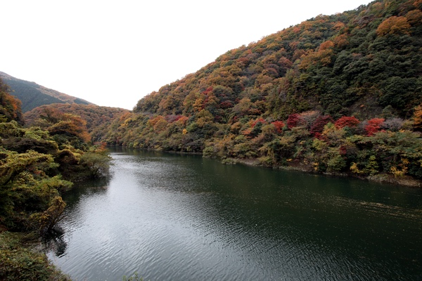 c0043403_233183.jpg