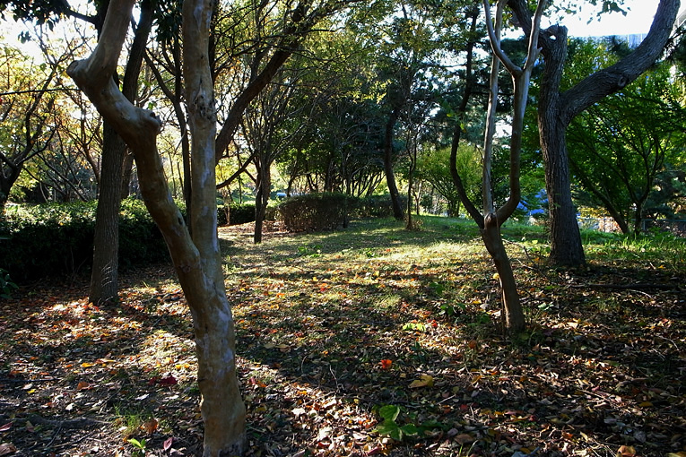 c0102003_8405435.jpg
