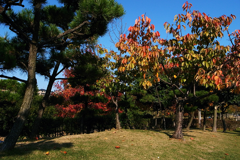 c0102003_8412857.jpg