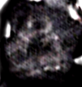 e0103408_1872784.gif