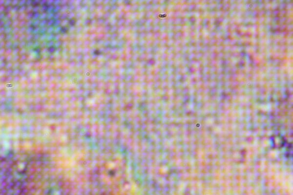 c0164709_18403640.jpg