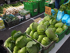 e0005411_642512.jpg