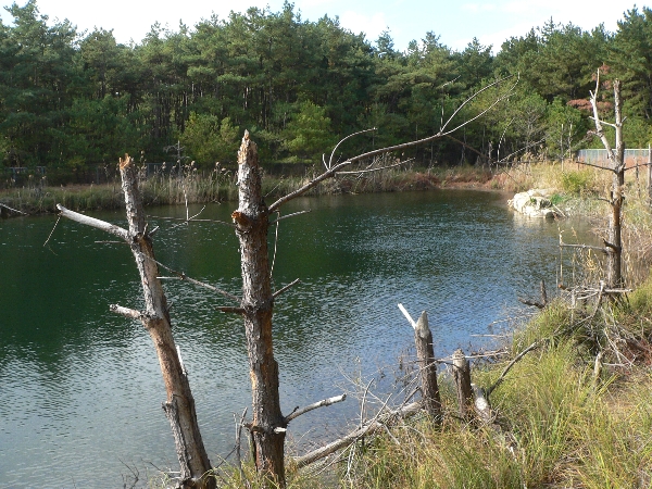 e0002314_21144060.jpg