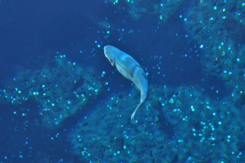 f0046614_955274.jpg