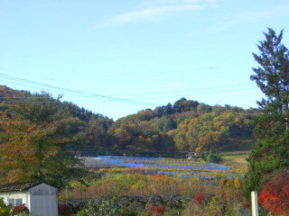 b0193517_1333262.jpg