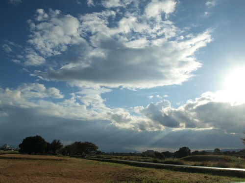 d0114517_11182085.jpg