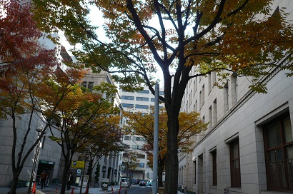 b0167519_952898.jpg