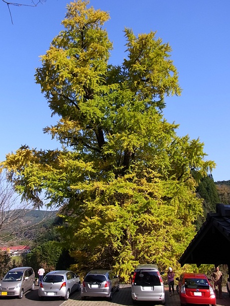 e0071319_18342760.jpg