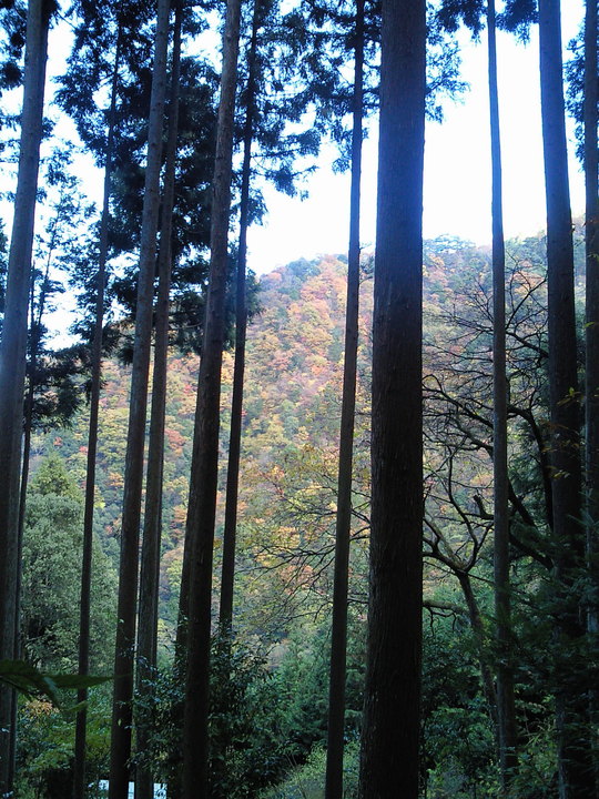 e0114823_21203274.jpg
