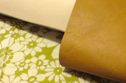 a0062324_234719.gif