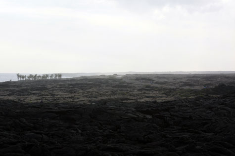f0137324_19581135.jpg