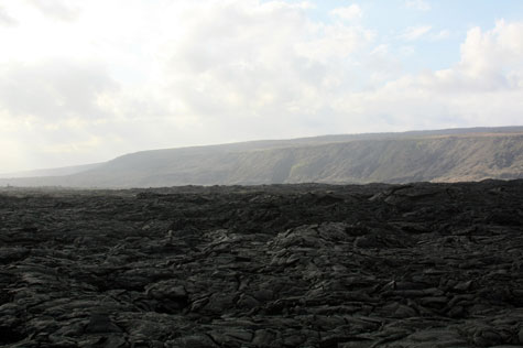 f0137324_19582389.jpg