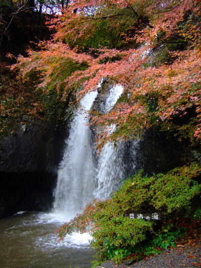 f0147025_21454232.jpg