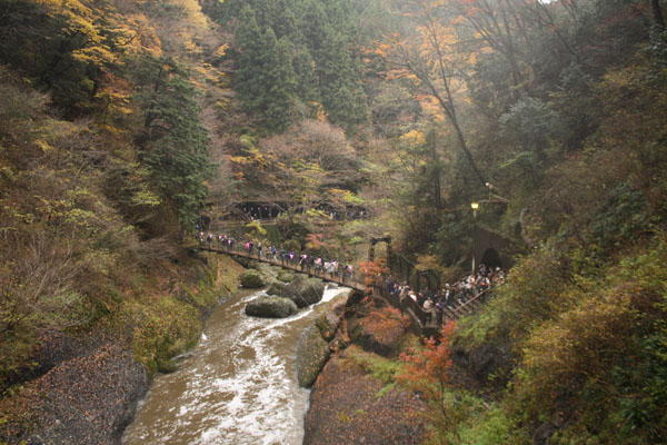 f0147025_2204931.jpg