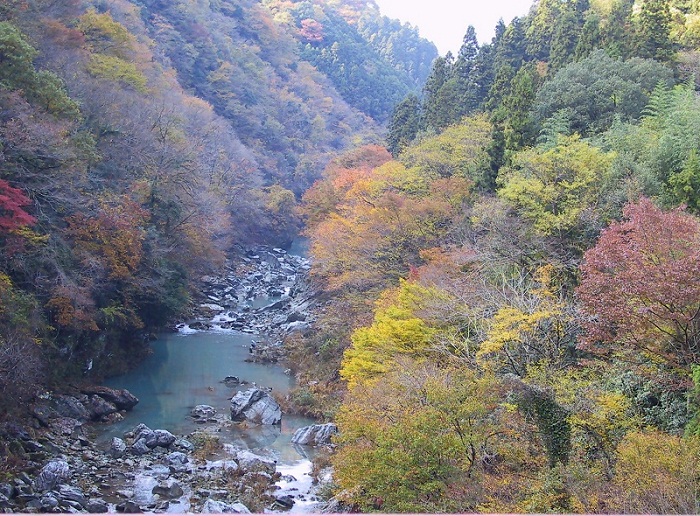 f0214527_15425373.jpg