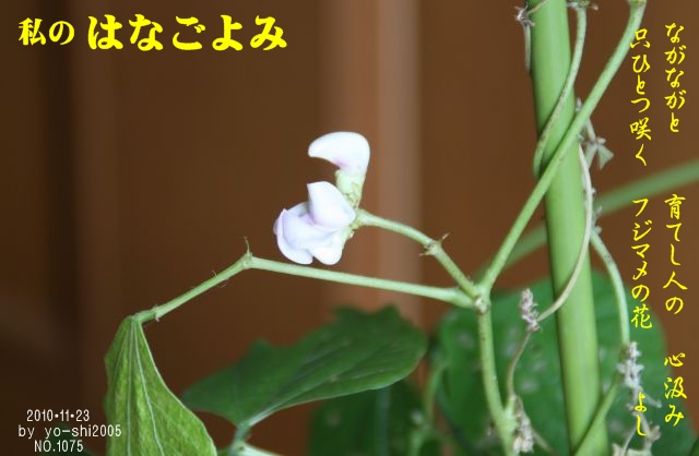 e0033229_20155025.jpg