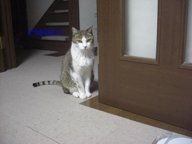 e0142430_2264981.jpg