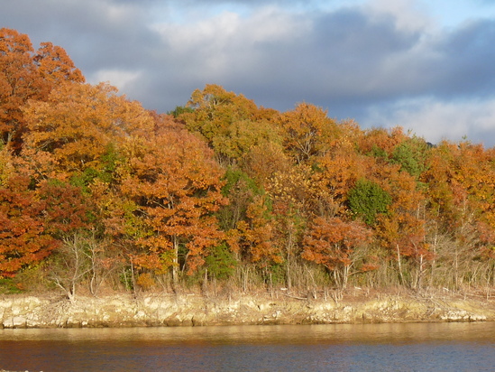 c0100534_21501353.jpg
