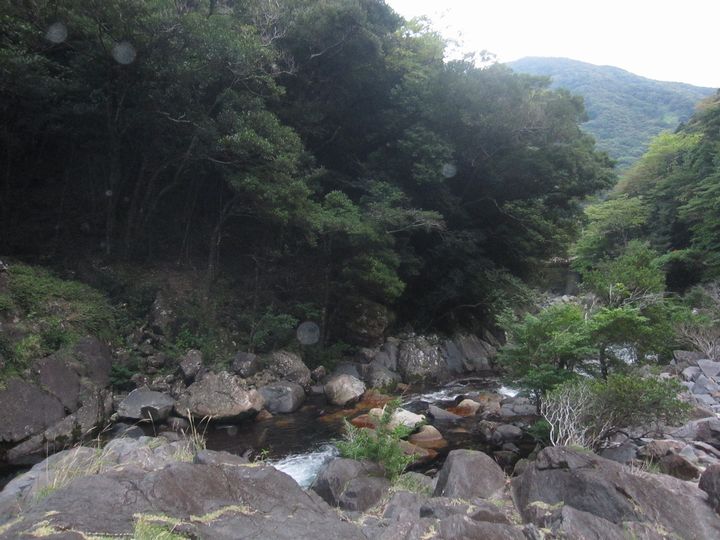 d0088735_16252697.jpg