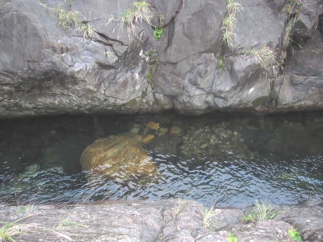 d0088735_16261271.jpg