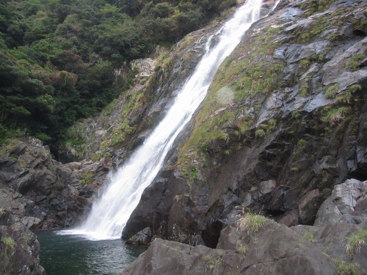 d0088735_1627361.jpg