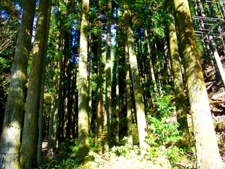c0101739_2243124.jpg