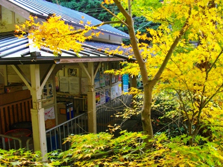 c0101739_22433988.jpg