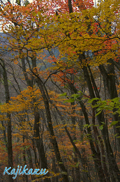 a0166940_22121125.jpg