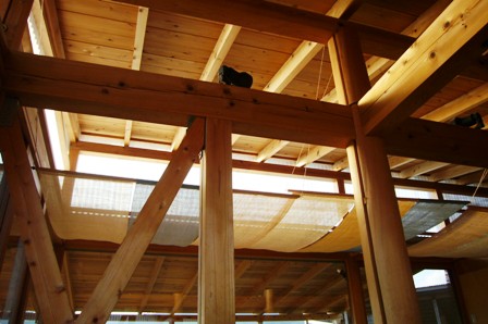 d0053940_155629.jpg