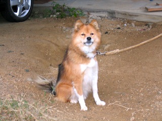 f0213347_1315970.jpg