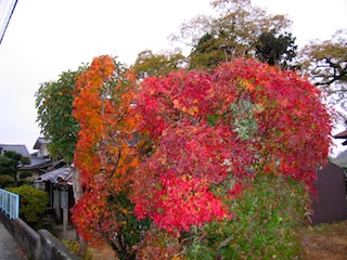 f0213347_1372284.jpg