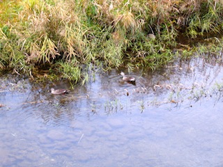 f0213347_23324854.jpg