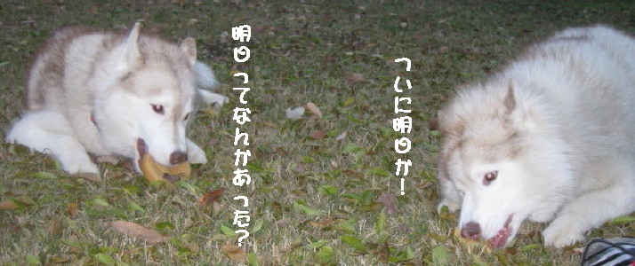 e0121548_21111048.jpg