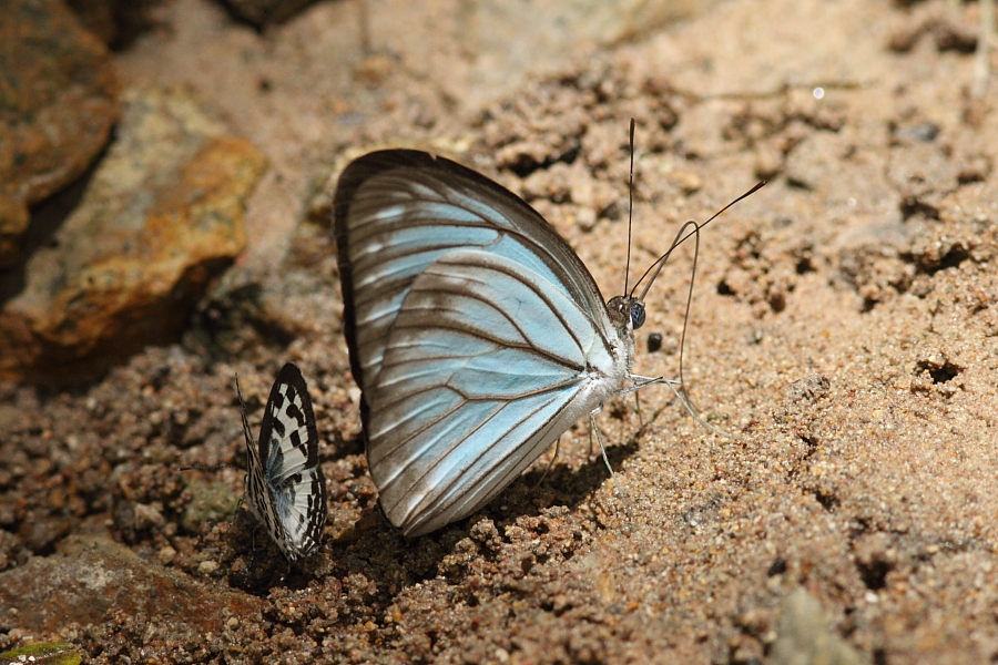 a0094850_12284563.jpg