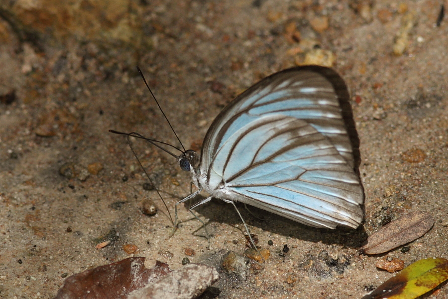 a0094850_12285569.jpg