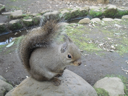 c0224150_1495792.jpg