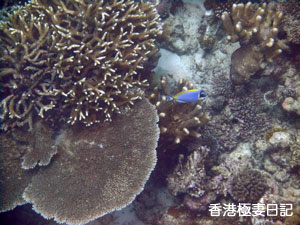 f0190653_15471639.jpg