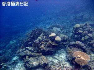 f0190653_15471949.jpg