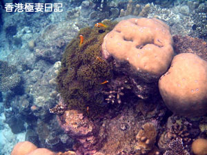f0190653_15472524.jpg